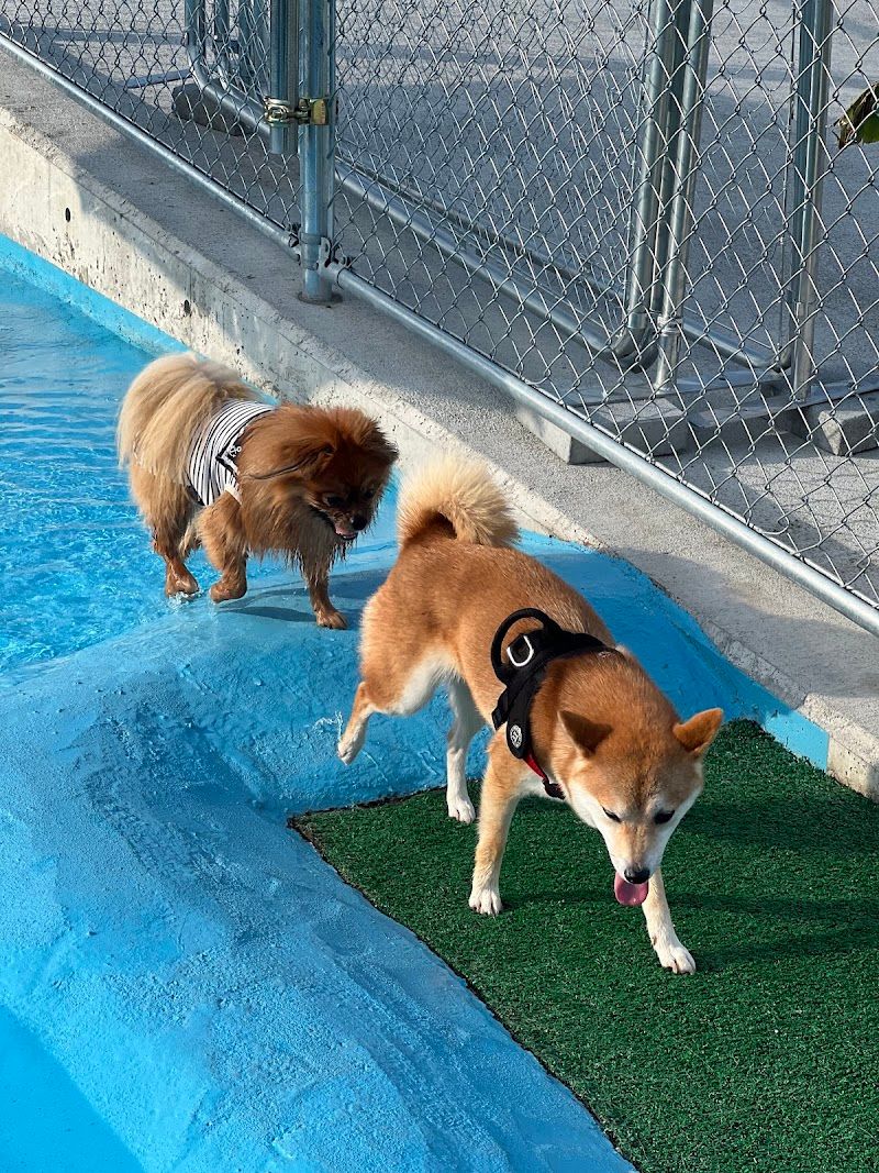 Pet park.Oneの写真 2