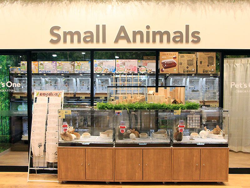 ペットショップ ワンラブ カインズ仙台泉店の写真 1