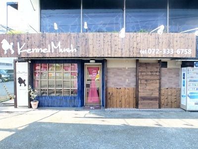 トイプードル専門ブリーダー・ケンネルマッシュ 大阪府松原市の写真 1