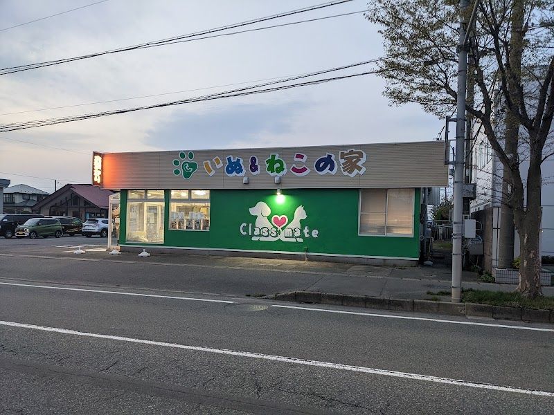 いぬねこの家 クラスメイト 保戸野店の写真 1