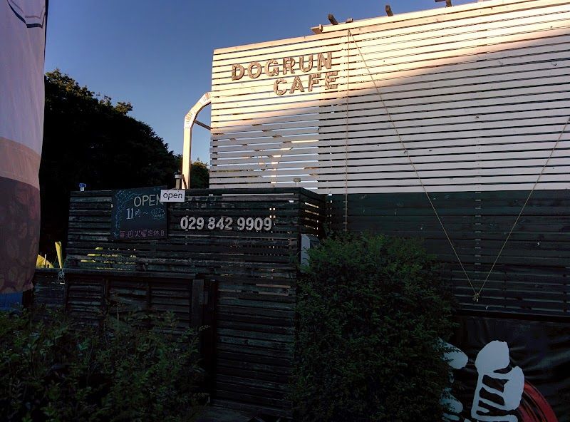Dogrun felistasの写真 1