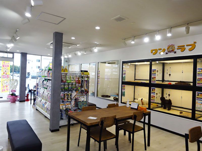 ペットショップ ワンラブ 星崎店(FC)の写真 2