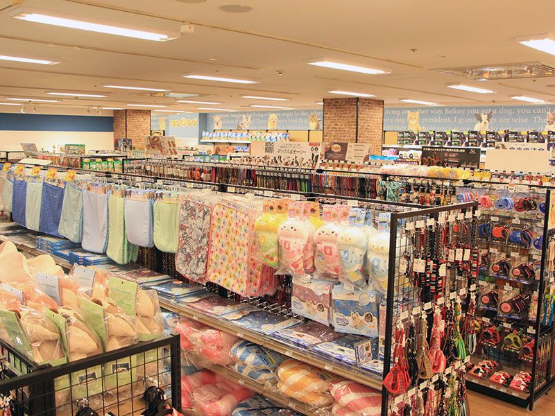 ペットショップワンラブ イオン春日井店の写真 2