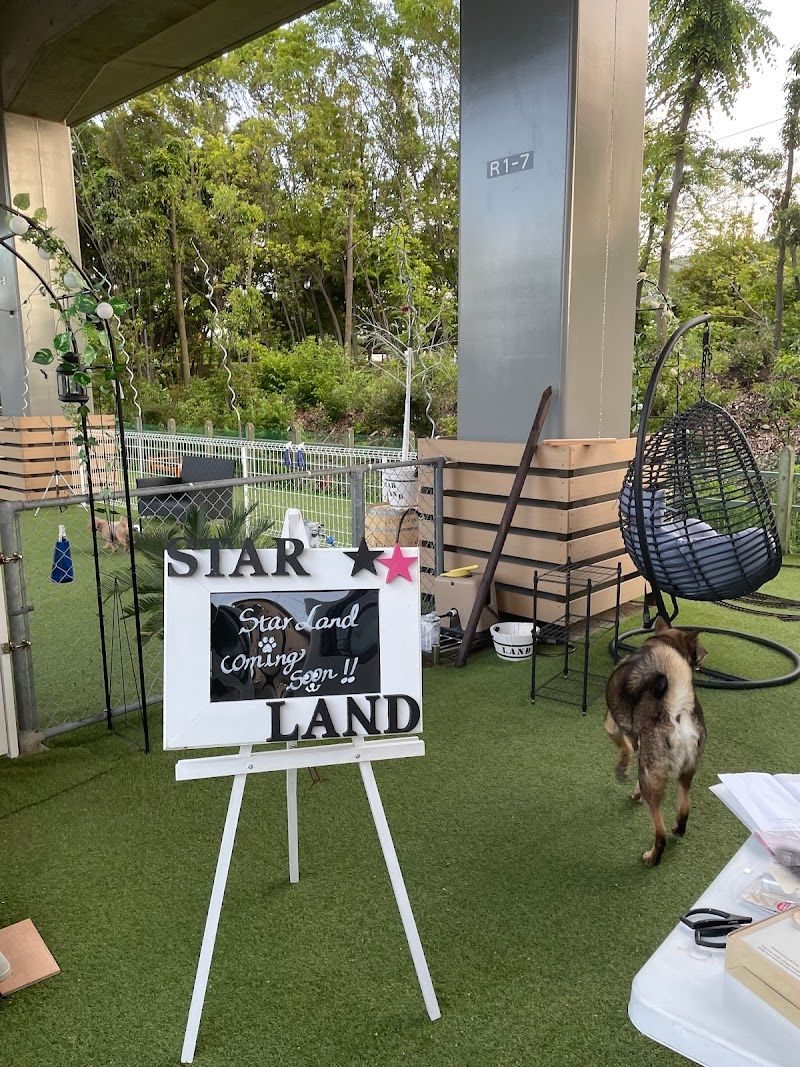 スターランド Star Landの写真 1