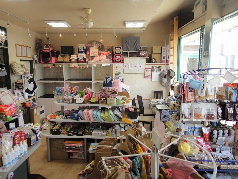 ペットショップ ポッケ 常滑店の写真 3
