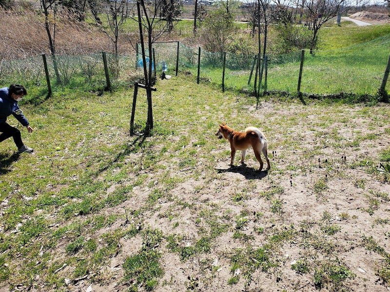 島見緑地公園ドッグランの写真 2