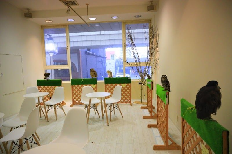 エキゾチックアニマルカフェRicky新潟店の写真 2
