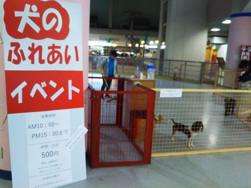 どうぶつClubサンロード1Fの写真 1