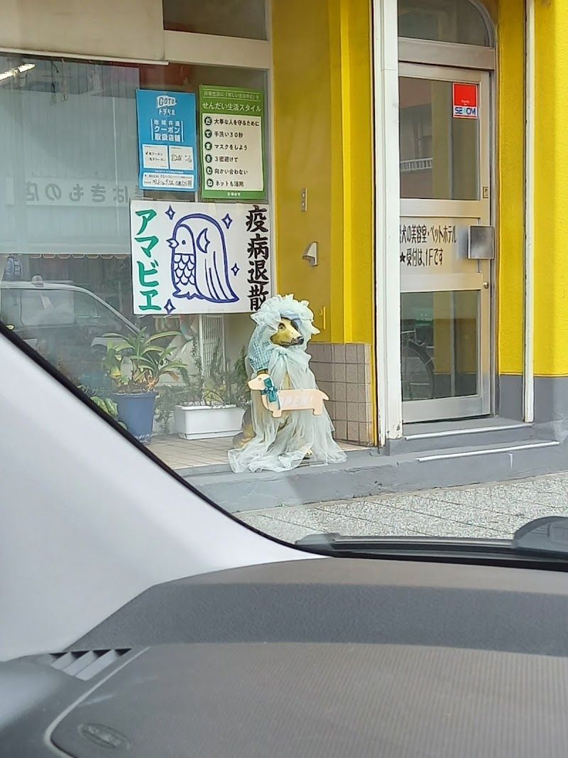 ㈲ペットショップさまんの写真 3