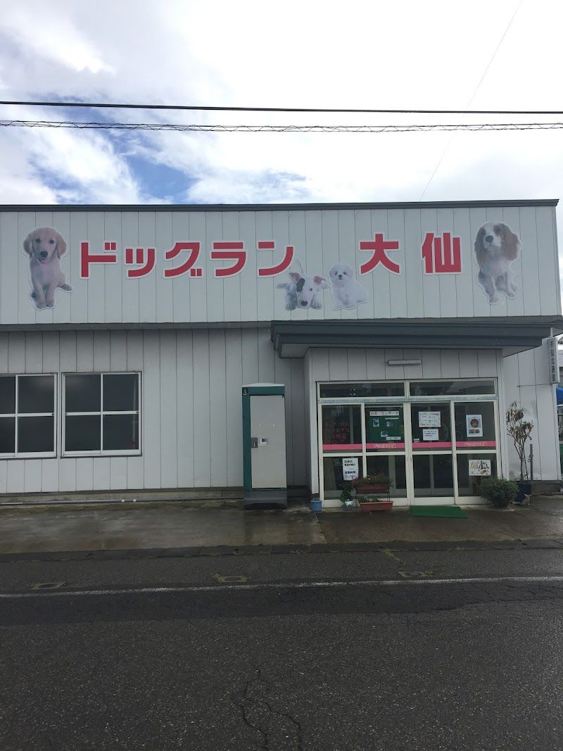 ドッグラン大仙の写真 2