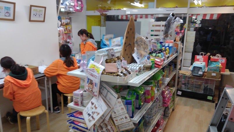 ㈲ペットショップさまんの写真 2