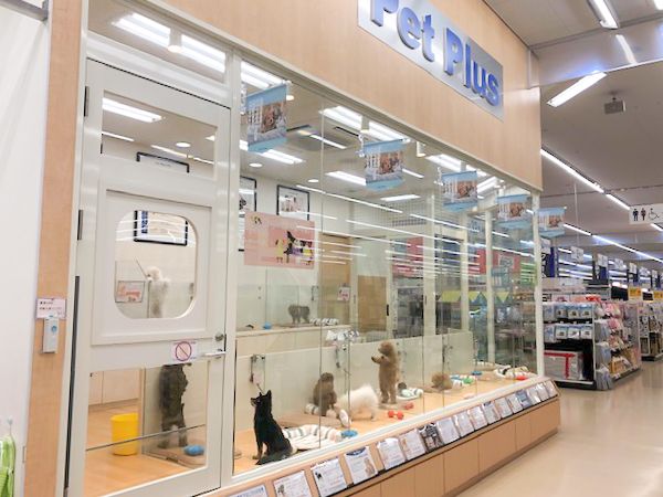 ペットプラス 青森浜田店の写真 2