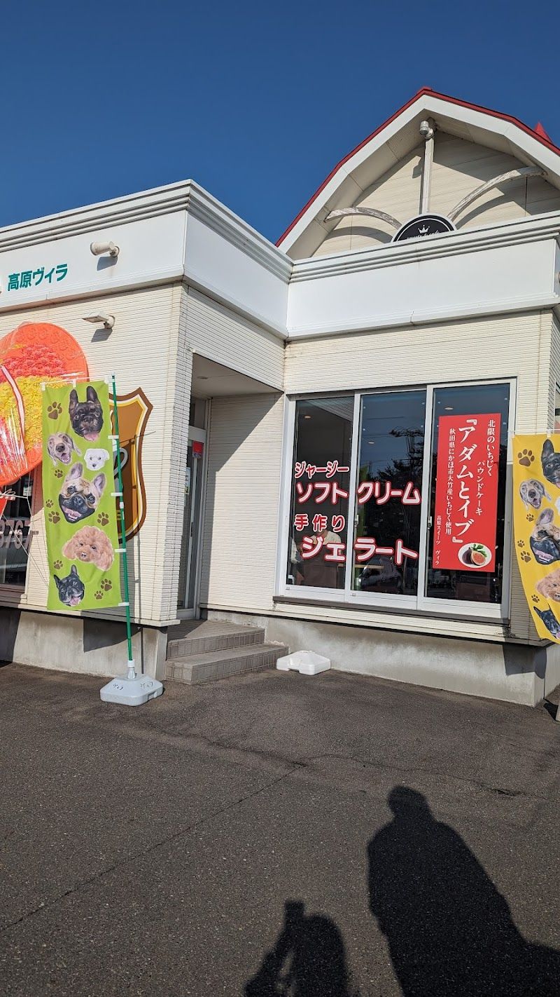 DOG WAGの写真 3