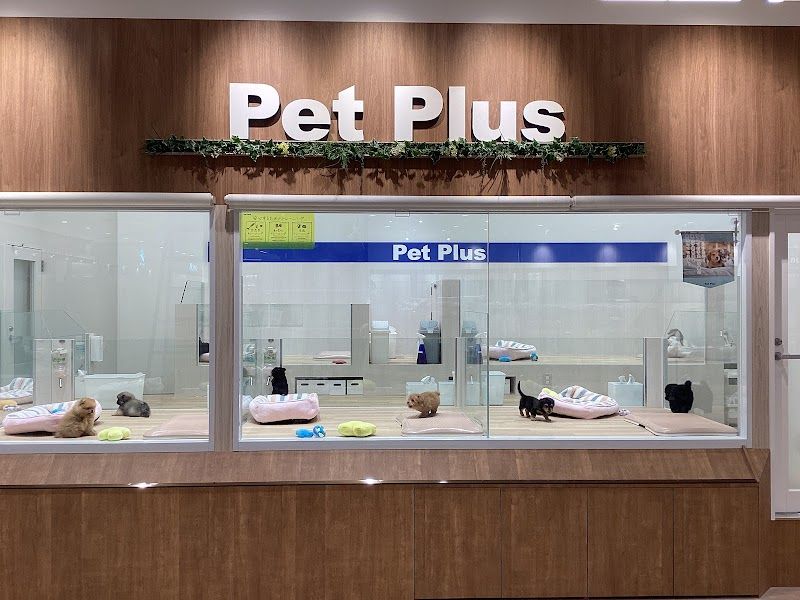 ペットプラス 名取店の写真 2