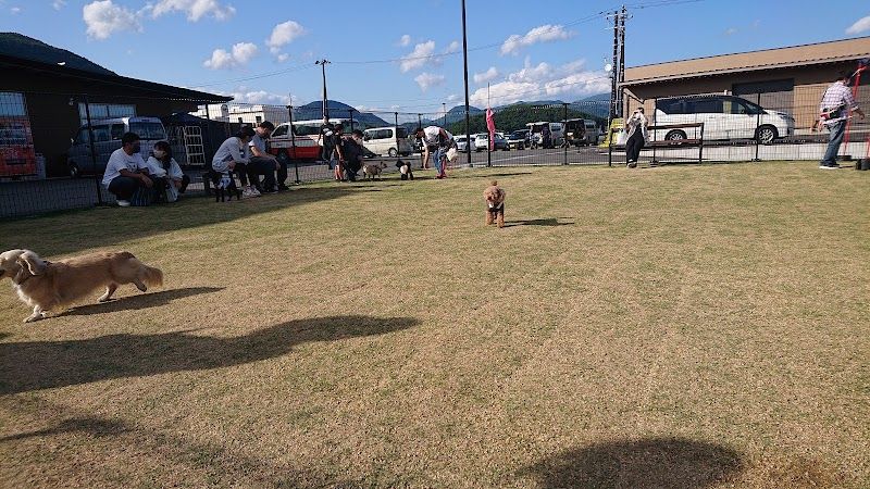 ドックラン（道の駅 ふくしま）の写真 3