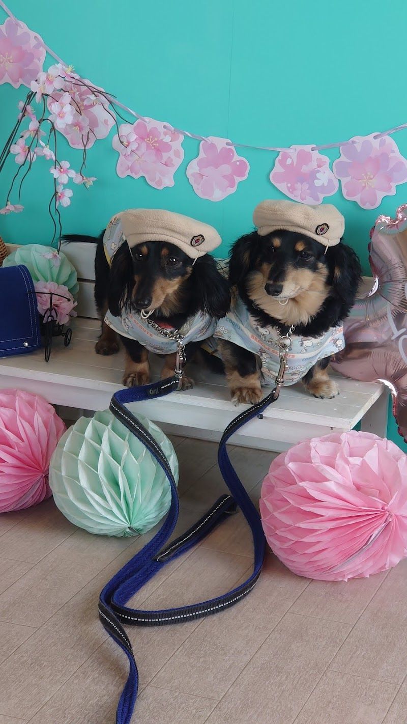 ふーまるドッグラン&はなカフェの写真 3