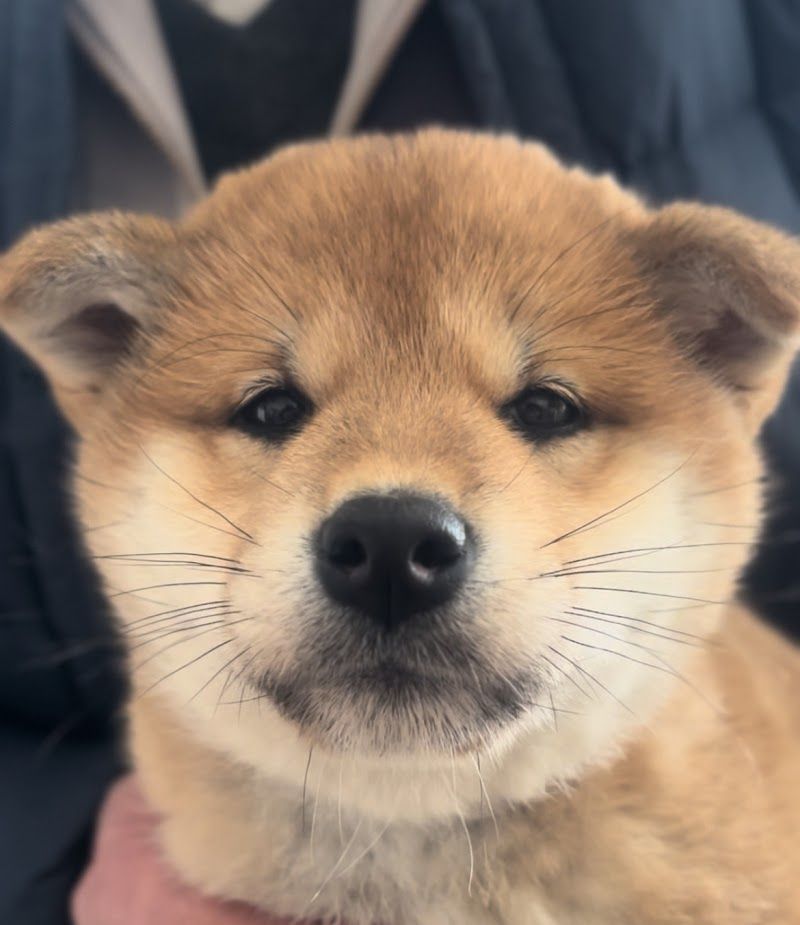 なんぶ白光荘の写真 3