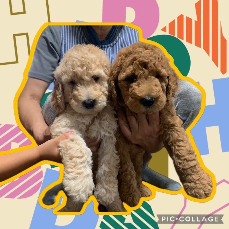 ファンタジードッグステージの写真 2