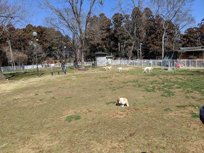 プライムランド ドッグランひぬまの写真 3
