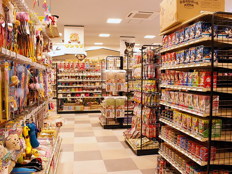 ペットショップワンラブ エルムの街店の写真 3