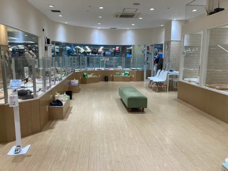 ペッツファースト 秋田店の写真 2