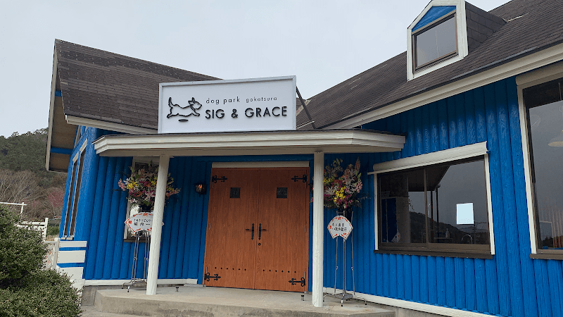 dog park sig&graceの写真 1