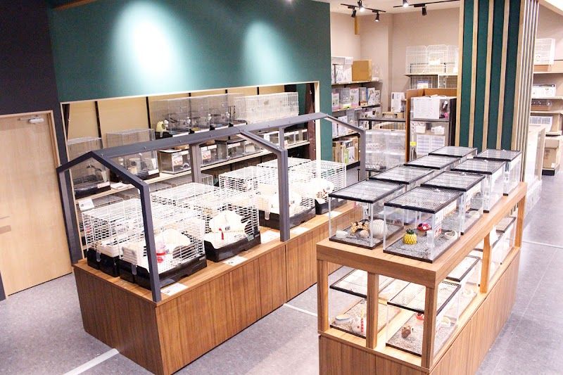 ペットショップ ワンラブ モレラ岐阜店の写真 3
