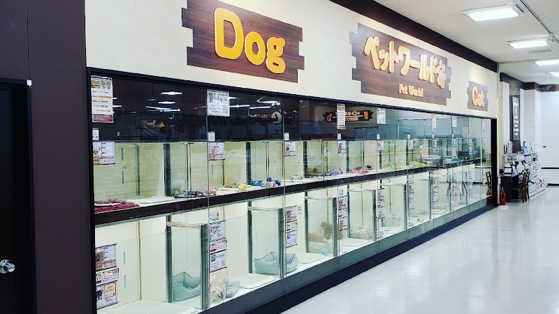 ディスワン稲沢平和店の写真 2