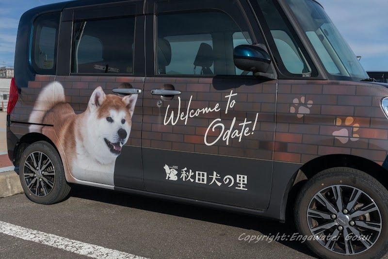 秋田犬の里の写真 2