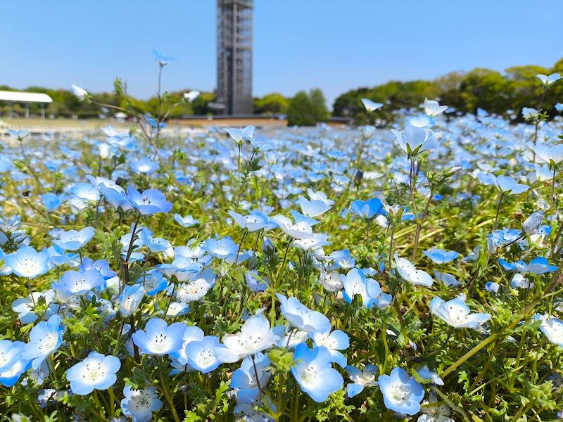 浜名湖ガーデンパークの写真 3