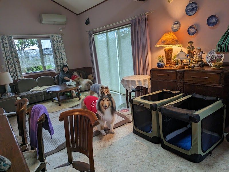 かたやぶりの写真 2