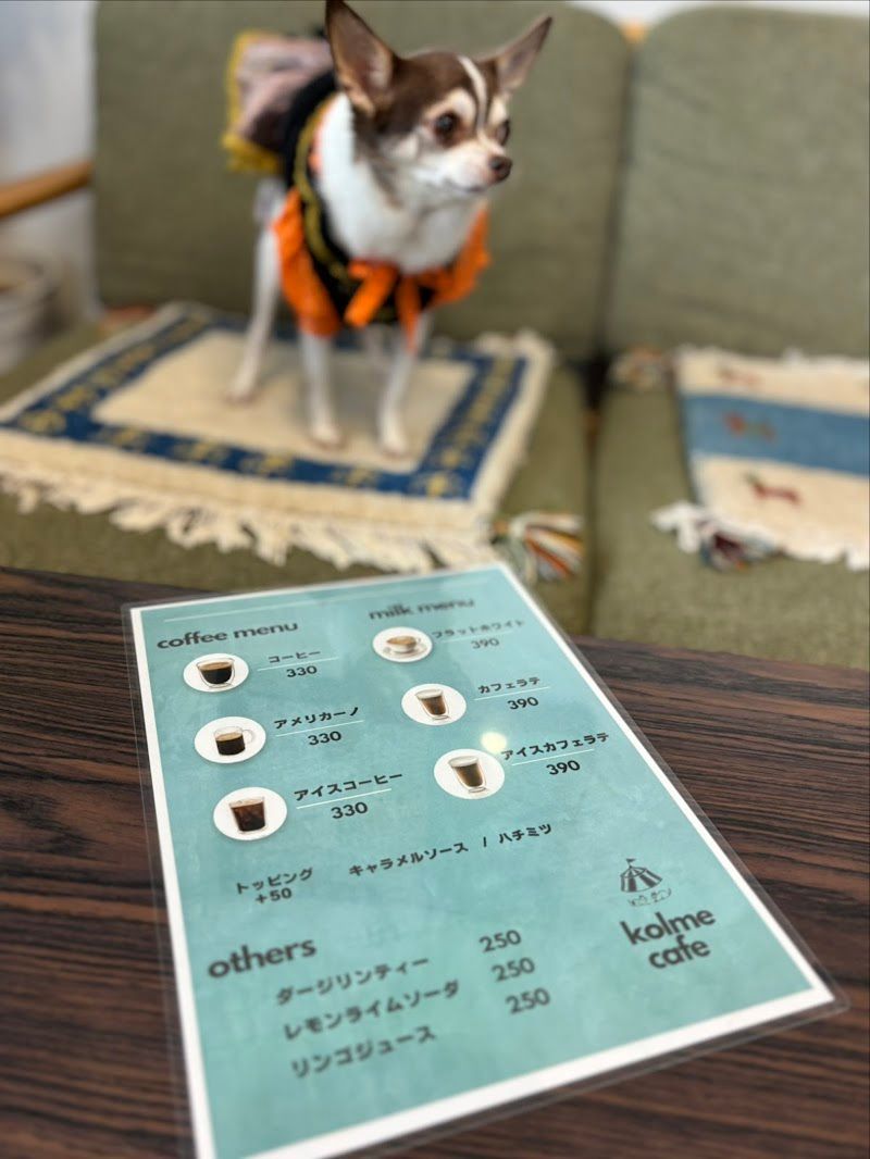 ペットホテル&ドッグランカフェ コルメの写真 2
