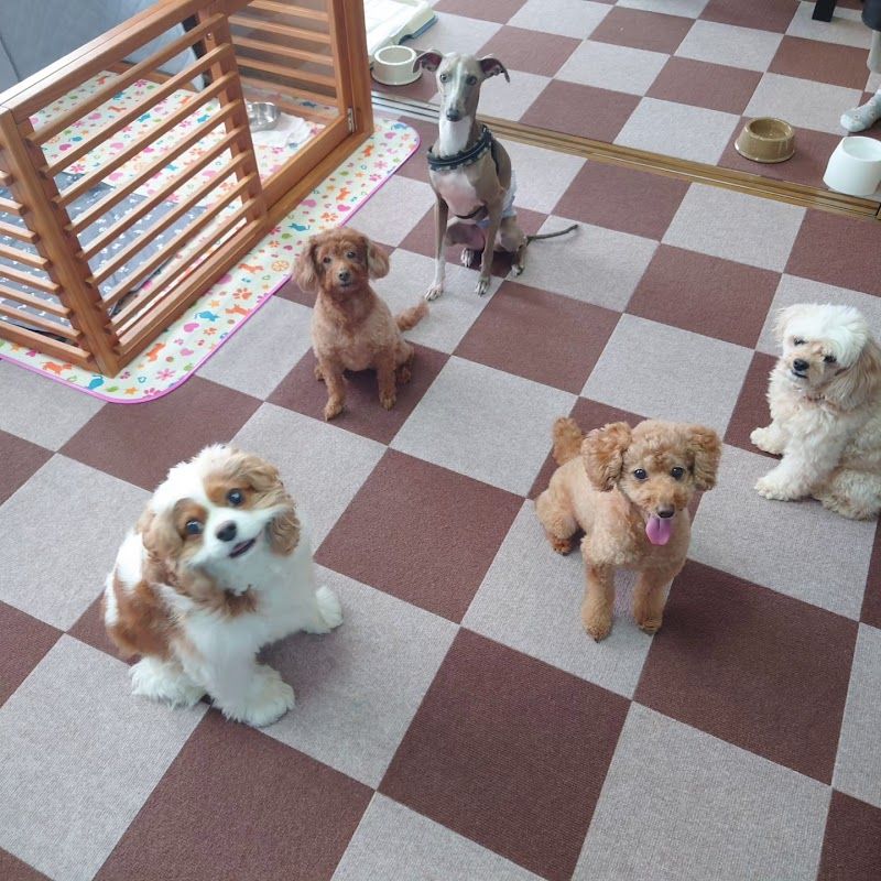 ペットのホテル へそ天の写真 2