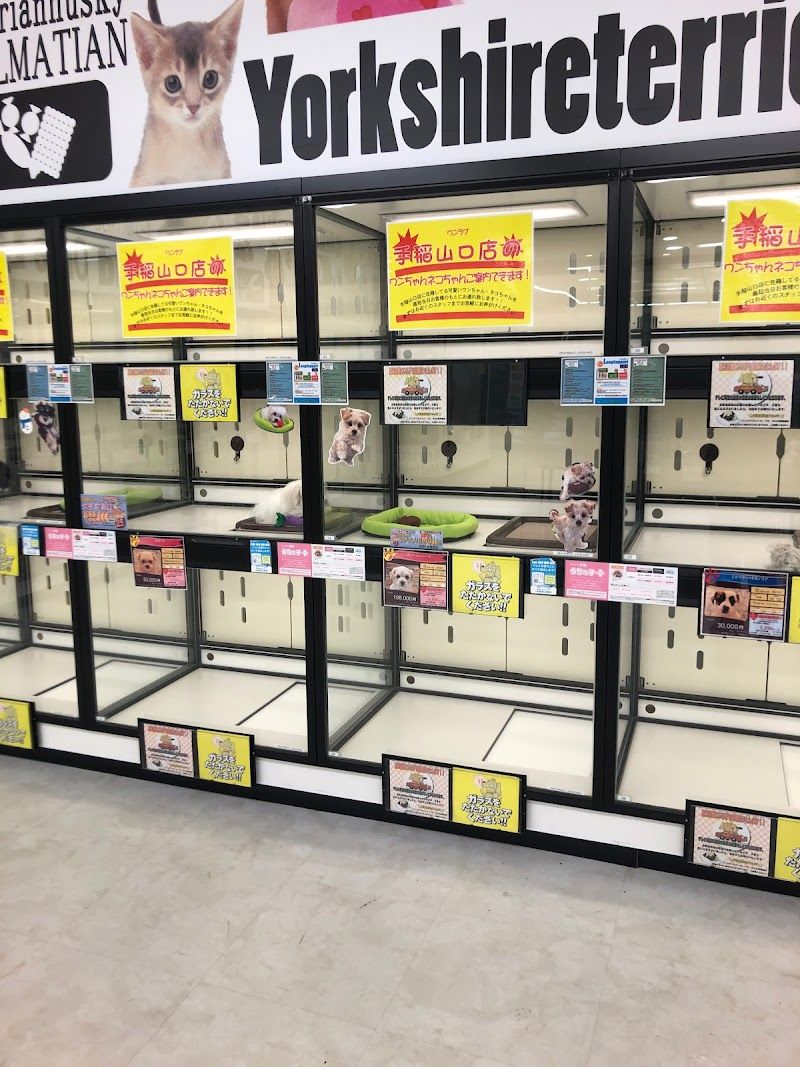 ペットショップワンラブ イオン石狩緑苑台店の写真 1
