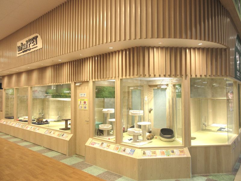 ワイワイペット石巻店の写真 1