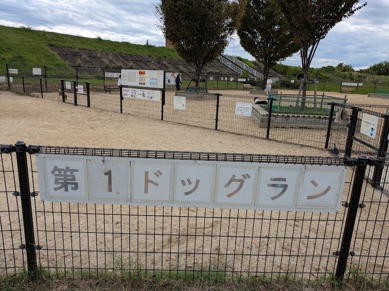 庄内緑地ドッグランの写真 2