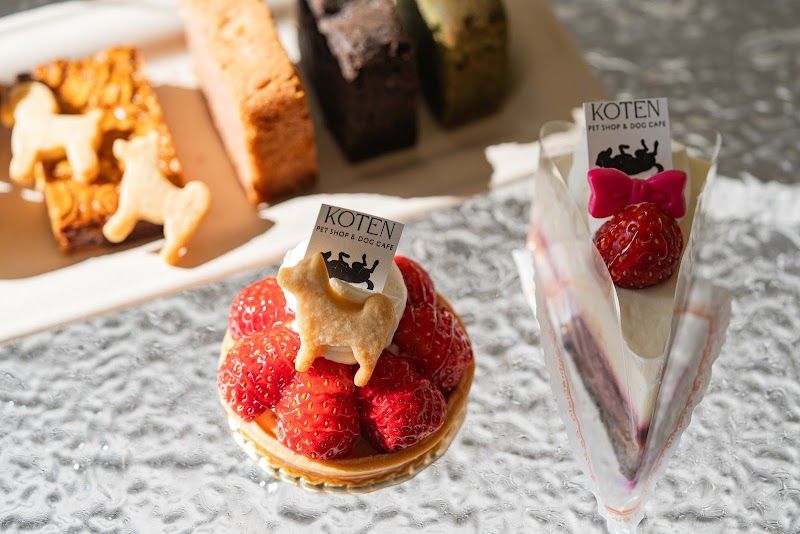 KOTEN PET SHOP & DOG CAFEの写真 2