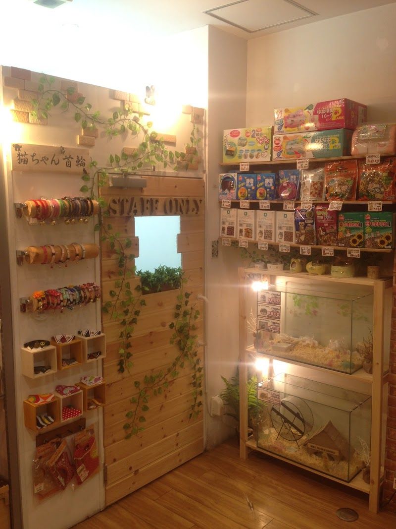 ペットショップWAN 仙台店の写真 2