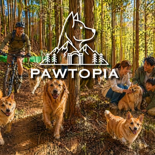 PAWTOPIA パウトピア 岡崎の写真 3