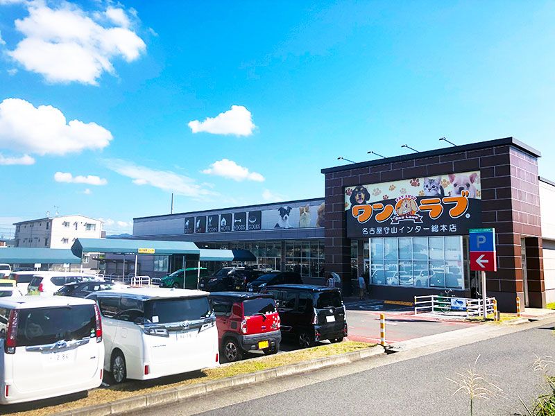 ペットショップワンラブ 名古屋守山インター総本店の写真 1