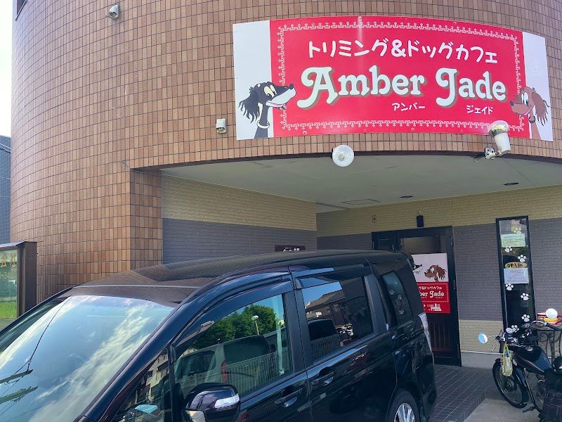 アンバー ジェイドの写真 2