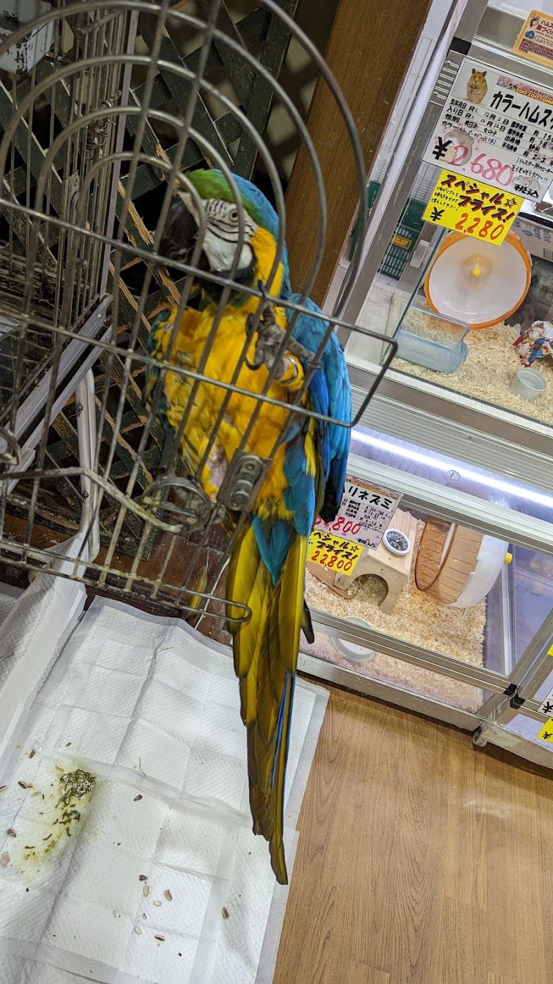 ズーズーカンパニー八乙女店の写真 2