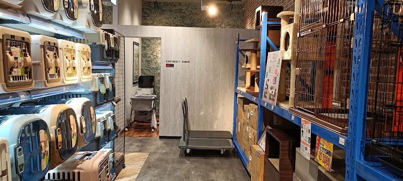 ペットショップCoo&RIKU 室蘭店の写真 3