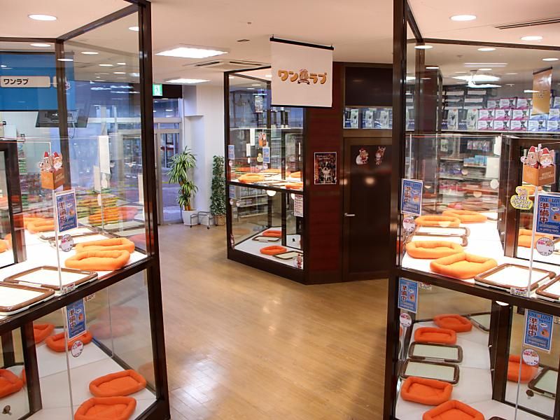 ペットショップ ワンラブ アピア富山店の写真 2