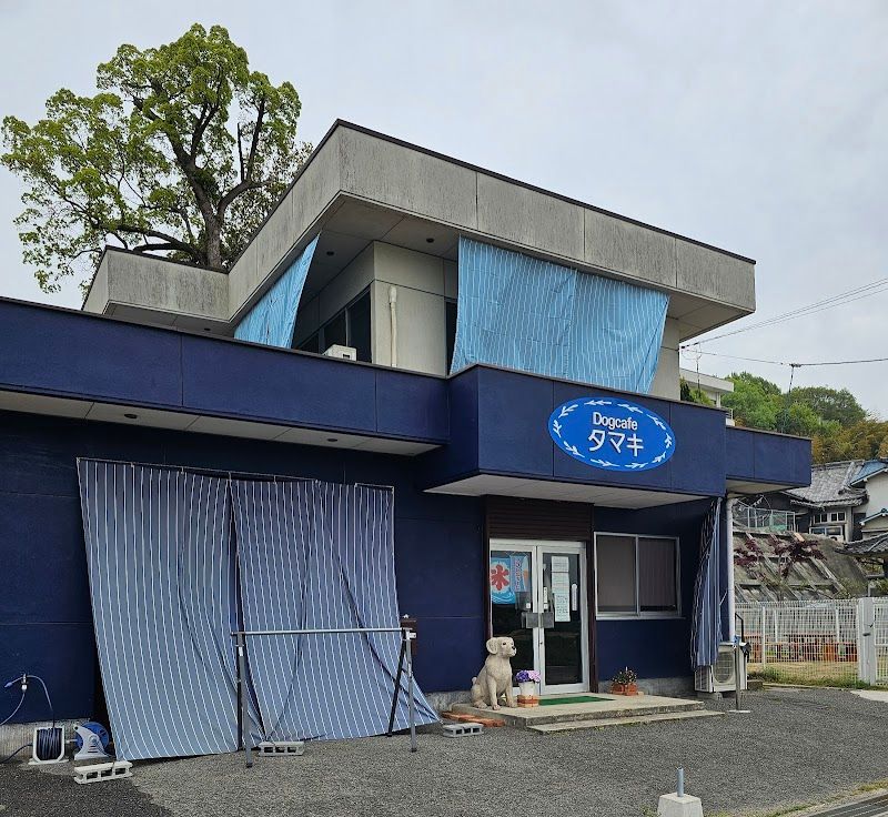 Dogcafeタマキの写真 1