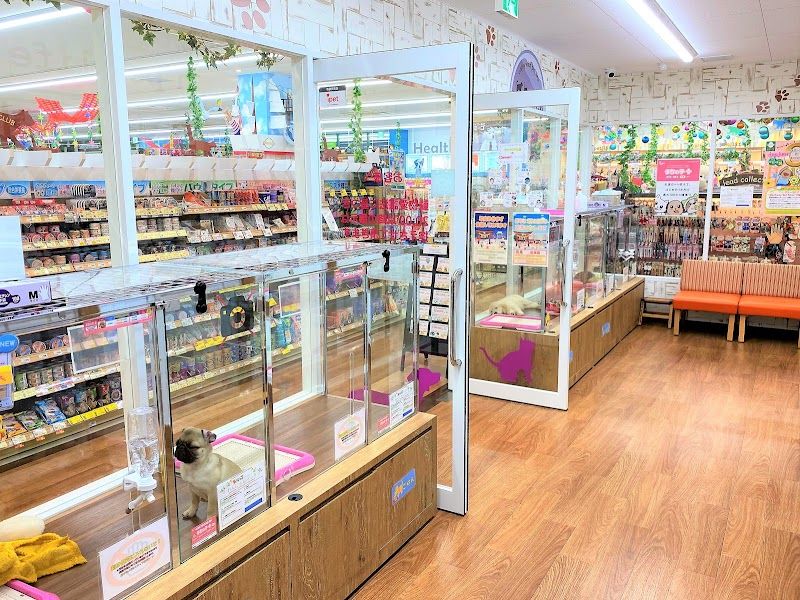ペットショップ 犬の家＆猫の里 アミーゴ山室店の写真 2