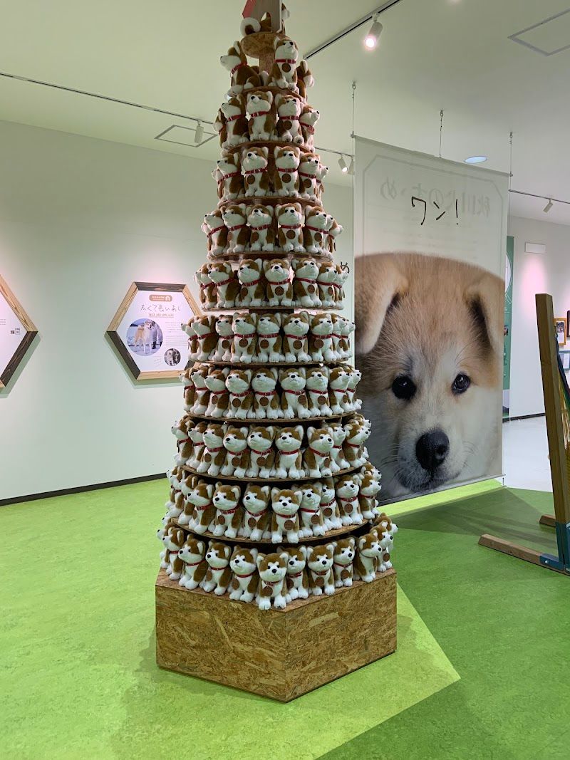 秋田犬の里の写真 1