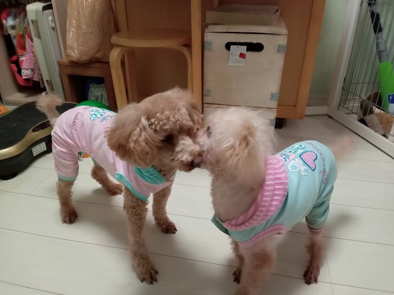 里親テラス仙台の写真 1