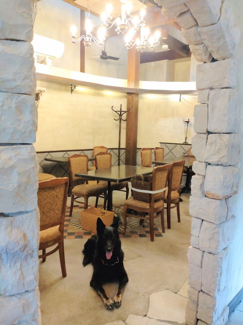Dog Cafe さんぽの写真 1