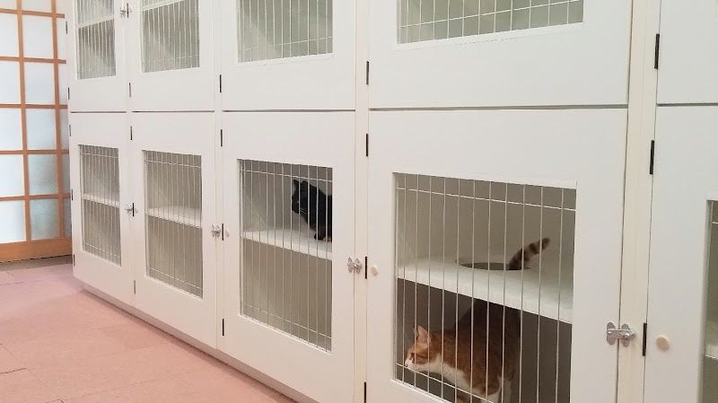 なちゅるむの写真 1